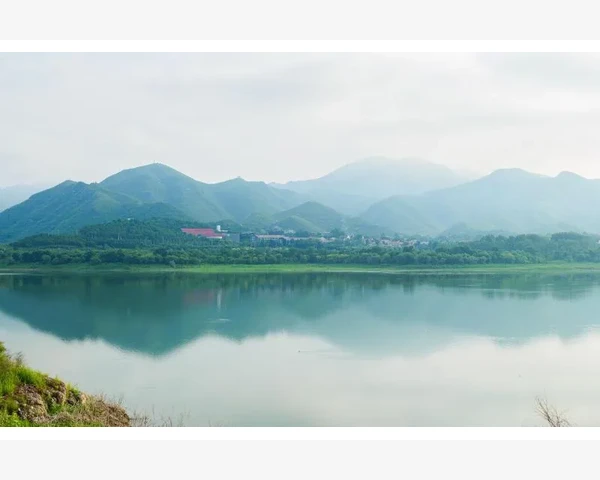 发烧泡脚发汗好吗？小心中医的误区！